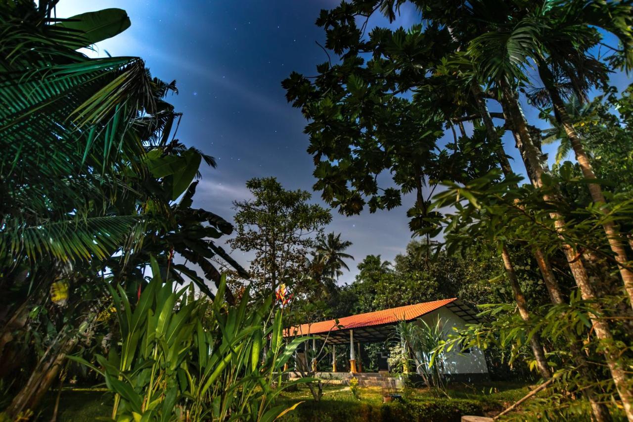 Coconut Villa ميديغاما إيست المظهر الخارجي الصورة