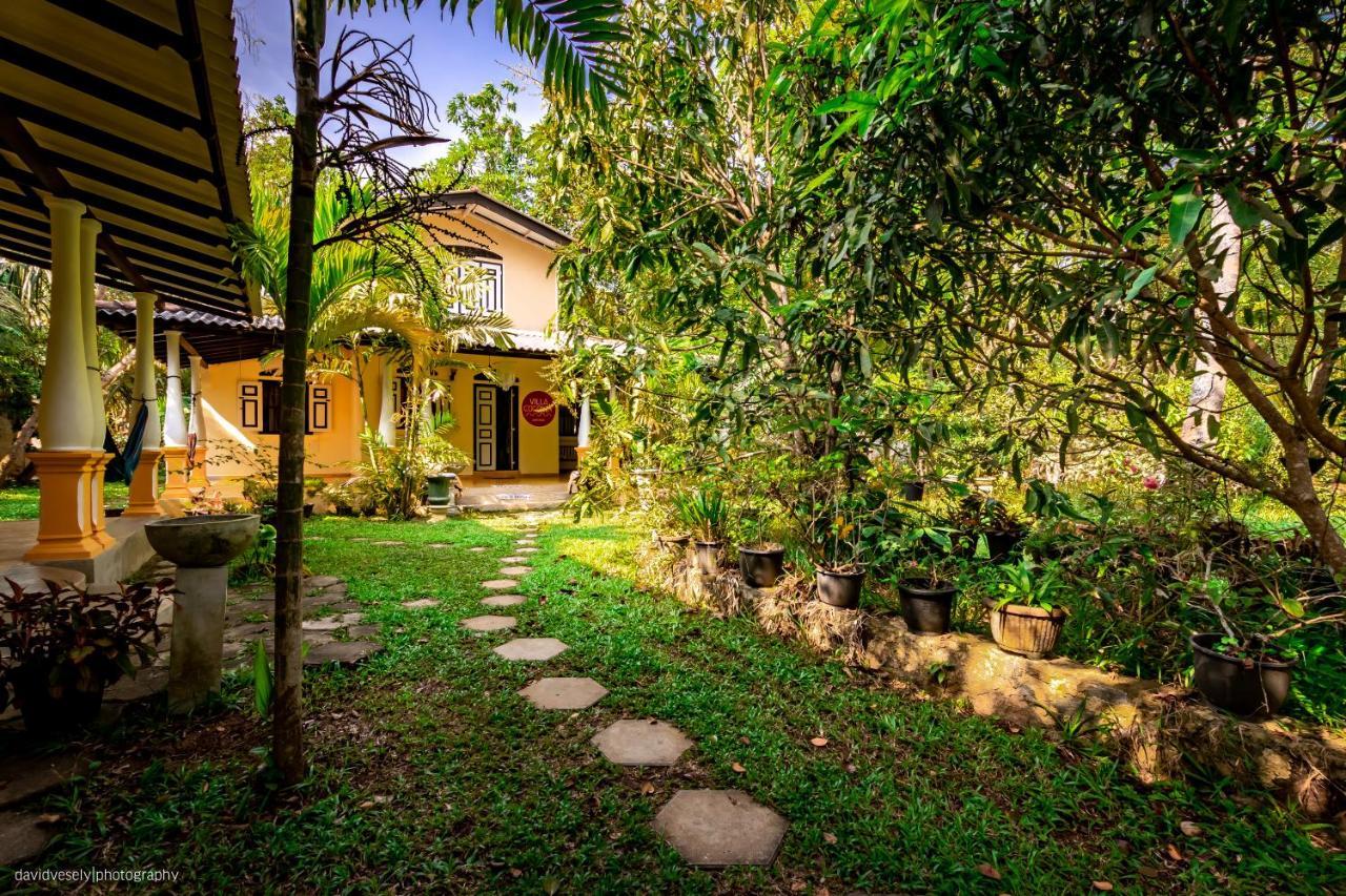 Coconut Villa ميديغاما إيست المظهر الخارجي الصورة