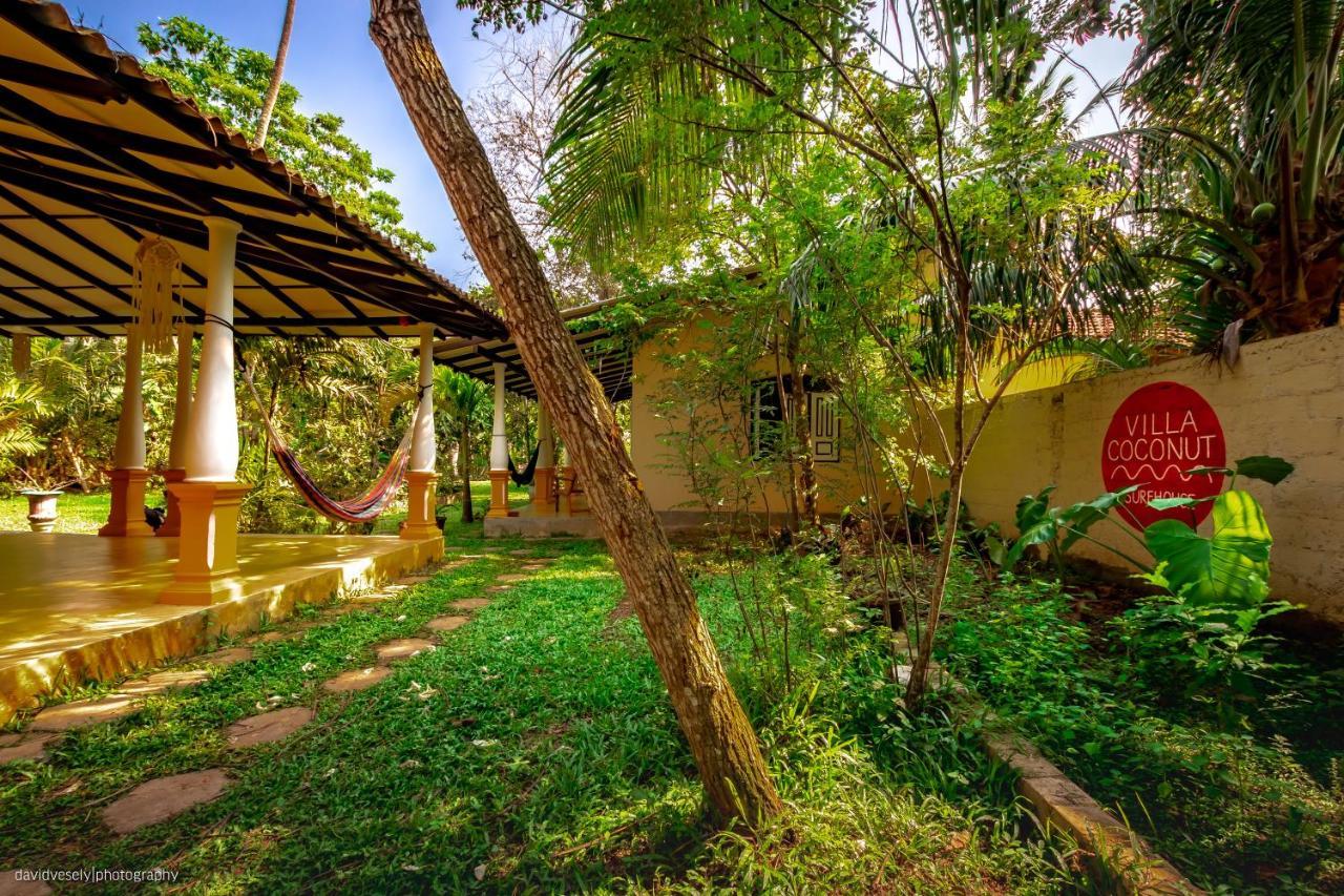 Coconut Villa ميديغاما إيست المظهر الخارجي الصورة
