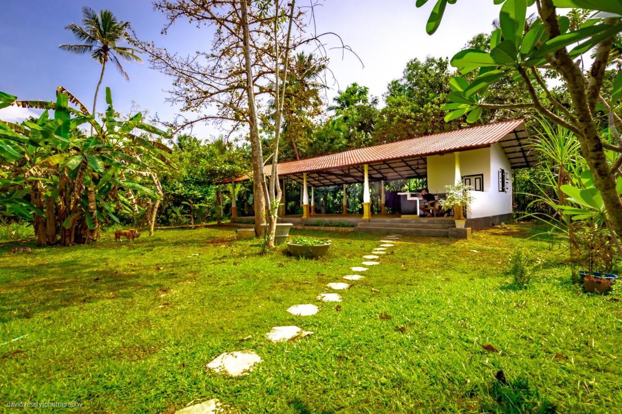 Coconut Villa ميديغاما إيست المظهر الخارجي الصورة