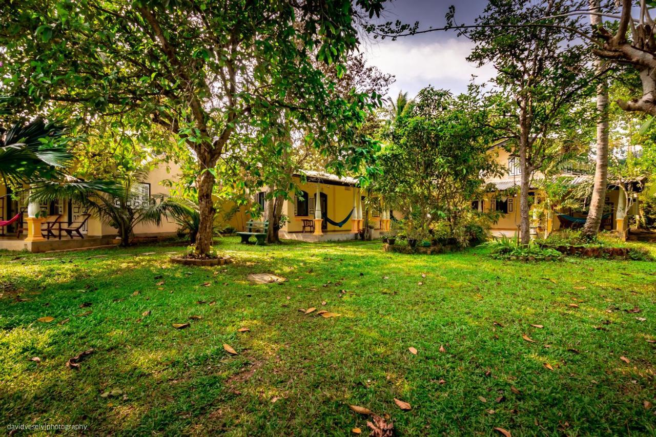 Coconut Villa ميديغاما إيست المظهر الخارجي الصورة