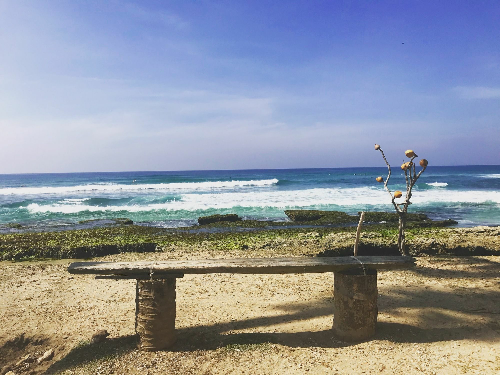 Coconut Villa ميديغاما إيست المظهر الخارجي الصورة