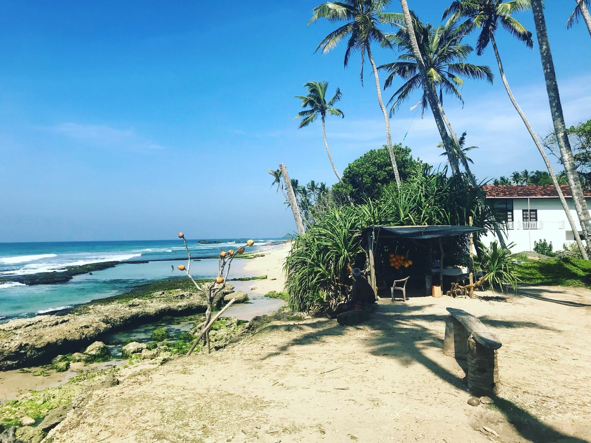 Coconut Villa ميديغاما إيست المظهر الخارجي الصورة